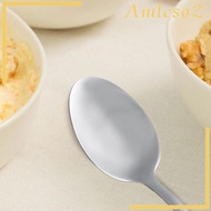 [Amleso2] Stainless Spoon Gift, Cooking Utensil Engraved Ice Cream Spoon Serving Spoon for Camping Trip Picnic,