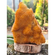 Link co live 50k weight 4kg