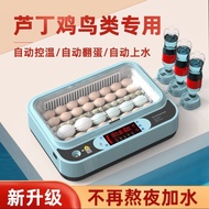 Egg Incubator Small Household Incubator Automatic Smart Ludding Chicken Incubator Chick Duck Goose Quail Incubator csptf2647540298. My4.9