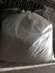 repack dedak ayam 202p (kasar) 5kg