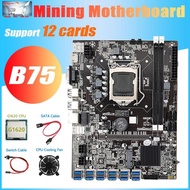 B75 ETH Miner Motoard 12 PCIE Ke USB3.0 + G1620 CPU + Kipas Pendingin