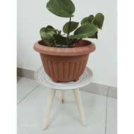 [ReadyStock] Pasu Bunga Plastik /Big Size Flower Pot / Pasu Bunga Bersaiz Besar