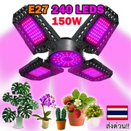 ส่งด่วนจากไทย ไฟปลูกต้นไม้ 240 LED 150W ไฟปลูกพืช ขั้ว E27 Full Spectrum โคมไฟเร่งโต สำหรับผักผลไม้ ไฮโดรไฮโดรโปนิกส์ ดอกไม้ แคคตัส ไม้ดอกไม้ประดับ