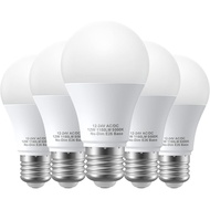 12V LED Light Bulbs, 12W 1050LM Daylight 5000K, 80W Equivalent 12-24Volt Low Voltage E26 Base AC/DC 
