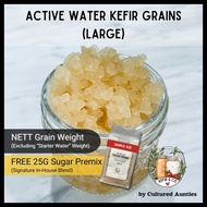 [KEFIRCO] Active Water Kefir Grains (Large)