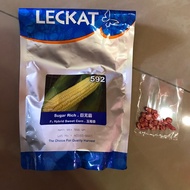 1 Pcs Leckat Sugar Rich 592 (F1 Hybrid) (30 Seed)