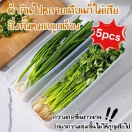 Food Preservation Box Refrigerator Storage Made Of PP Material Coriander Onion Keeps Fresh Storage B