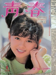 青春 1985年第8期 李麗珍 80年代娛樂雜誌