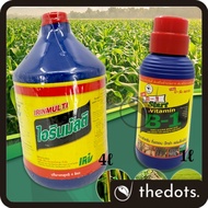 THAILAND MULTI EXTRA VITAMIN B1 1 LITER / 4 LITER AMINO ACID PENGGALAK AKAR B1