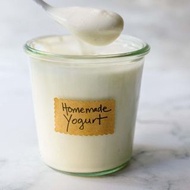 自製希臘乳酪 -Homemade Greek Yogurt