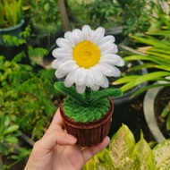 MINI FLOWER POT/MINI WIRE POT FEATHER MINIMALIST WIRE FLOWER MINI FLOWER POT