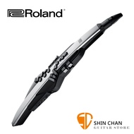 Roland AE-30 專業級 電吹管 /電子吹管/數位薩克斯風/吹管合成器 Aerophone Pro AE30 附袋【兩年保固】