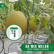 Resep Ab Mix Melon Formula Racikan Nutrisi Ab Mix Melon Terbaik