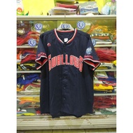 Original Tokyo Yakult Swallows 2016 baseball jersey