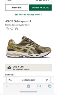 Asics Kayano 14