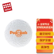 GiGwi贵为狗狗玩具中号爆爆球高弹耐咬磨牙宠物玩具中型犬柯基玩具球