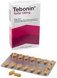 Tebonin Forte 120mg 30's