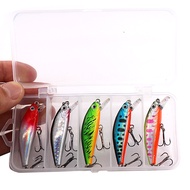 Fishing Lure Minnow 6.7g/5.5cm Sinking Water Umpan Sebarau Peacock Killer Bass Fishing Bait