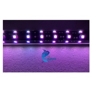 Xian Long High Performance Arowana LED Light Three rows of lights （Red）
