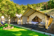 山上種樹 苗栗豪華懶人露營Glamping 柴燒泡湯 可包區森林系狩獵帳 牛樟森林休閒農場 (Grow Tree Glamping)