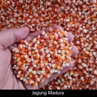 jagung kering Madurasa 1 kg 