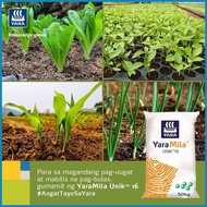 Yara Mila Unik 16 Fertilizer (NPK 16-16-16) 1kg repacked