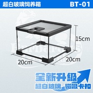 Reptile Breeding Box Pet Snake Glass Tank Horned Frog Tree Frog Spider Reptile Ecological Rainforest