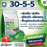 ปุ๋ยเกล็ดมรกต 30-5-5 ตรารุ่งอรุณ สูตรเร่งต้น เร่งใบ ขนาก 1กก.