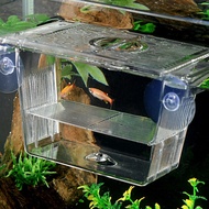 Aquarium Fish Tank Clear Fish Breeding Isolation Box Aquarium Breeder Fish Tank Double Guppies Hatch