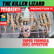 (HQ) THE KILLER CICAK ( LIZARD ) ⭐⭐⭐