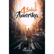 4 months in America