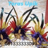 →Super 8TN9N feather headpiece dance crown 87 →Lots of Stock