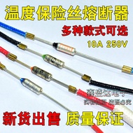 Universal Egg Steamer Electric Kettle Garment Steamer Hair Dryer Hot Air Gun Thermal Fuse Tube Diode