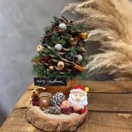 體驗活動 聖誕禮物 手作松果聖誕樹 雪松 松果 橡實