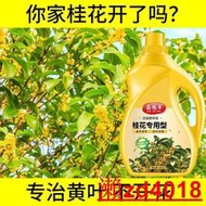 【有機肥】【花肥】桂花營養液 濃縮專用型盆栽家用金桂銀桂復合有機液體肥 酸性促