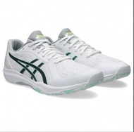 🏓🏓🏓ASICS 乒乓球鞋 28cm not butterfly 蝴蝶 Viscaria