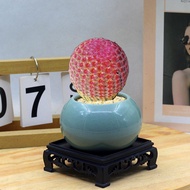 Wanzhongshan Cactus Potted Cactus Succulent Flower Plant Office Indoor Desktop Green Plant Radiation