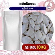 เมล็ดฟักทอง pumpkin seeds อาหารนก กระต่าย หนู กระต่าย กระรอก ชูก้า และสัตว์ฟันแทะ สินค้าใหม่ทุกกระสอ