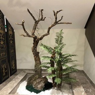 Peeled Pomegranate Tree Dead Tree Decorative Tree Tree Costume Tree Trunk Shape Dry Branches Bleache