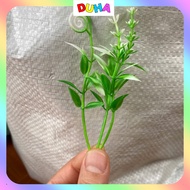 100gr GRASS.USED TO DECORATE WAX FLOWERS, PAPER FLOWERS, HANMADE DUHA 010