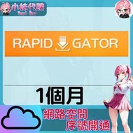 【現貨+開發票】小妹代購 免空 雲端 序號 升級碼 會員 高速下載 rapidgator.nwet 1個月