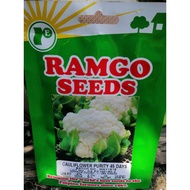 CAULIFLOWER RAMGO SEEDS