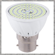 Germicidal Light  Lamp LED UV Desinfection Lamp B22 LED Ultraviolet Light Bulb