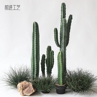 Simulation Plant cactus Column Potted Plant Sasheng Wholesale cactus Fake Artificial Manufacturer Gr