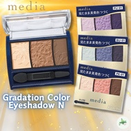 Kanebo Media Gradation Color Eyeshadow N BR-01 BU-01 PK-01 PU-01 Natural Look