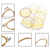 SJM 6 Pcs Stainless Steel Core Guitar Strings for Acoustic Folk Guitar Accessories