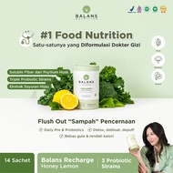 Rechargeable Ballast | Fiber & Probiotics Drink | LemonHONEY | Fiber Drink with Psyllium Husk | Fibe