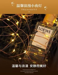 OTHER - 戶外led太陽能銅線燈綵燈庭院裝飾氛圍燈防水燈串 12米100燈tzm