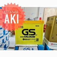 Dry Car Battery Gs G Mfcc Ns 60L / Ns60L / 46B24L Super Calcium