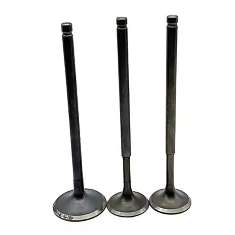 Intake Valves & Exhaust EX. Valves Stem Seal for Honda STEED400 STEED 400 NV400 NV 400 NTV650 Revere